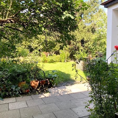 Robins Nest Apartment Detmold Exterior photo